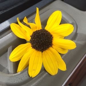 Meet your Posher, Shawnie